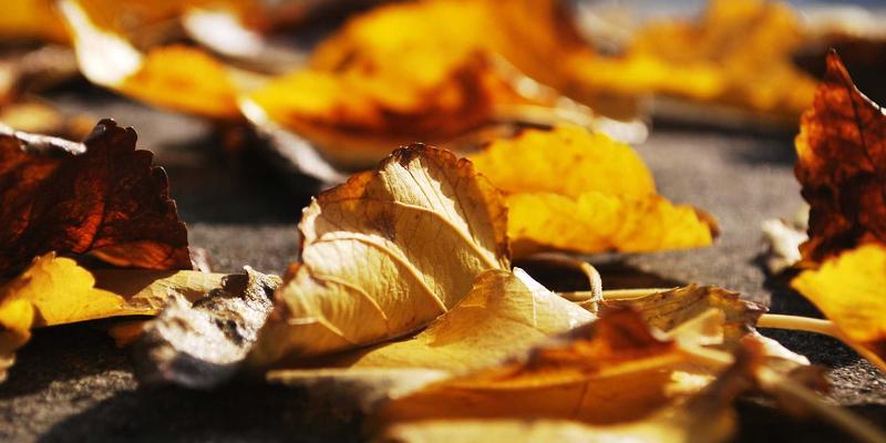 从护肤到彩妆技巧：探索中国传统胭脂工艺的现代口红推荐