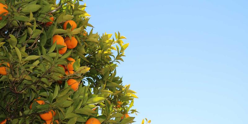 红唇30：从护肤打底到口红推荐，打造专属你的经典魅力