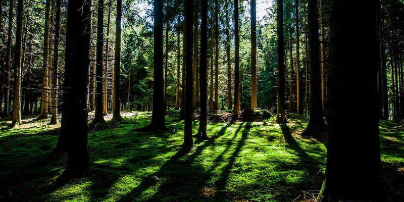 红唇49号终极评测:这支断货王口红,凭什么征服美妆圈?