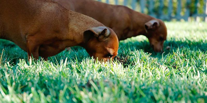 红唇62：从美妆传奇到日常必备的深度评测与护肤指南