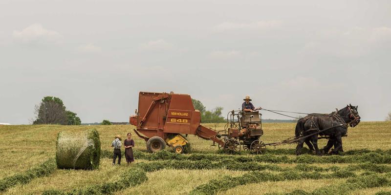 红唇80：一支口红如何定义经典？深度评测与妆容灵感