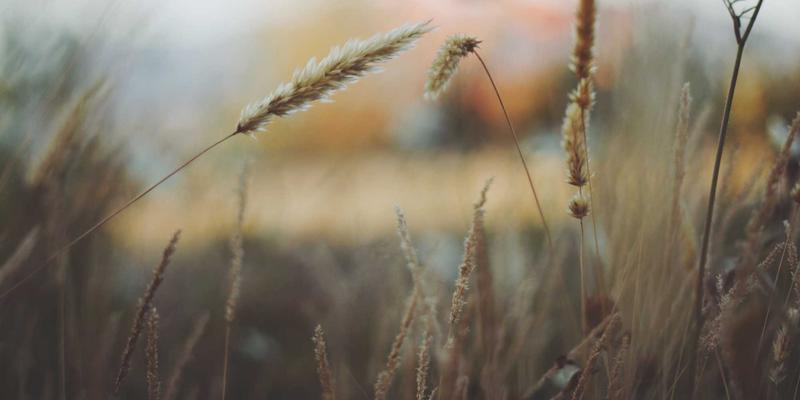 红唇前景：从护肤基底到口红推荐，打造持久惊艳唇妆