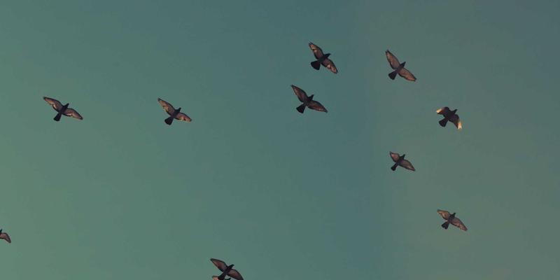 红唇极限挑战：超长持妆、不沾杯、抗汗水口红全测评与护肤级美妆技术解析