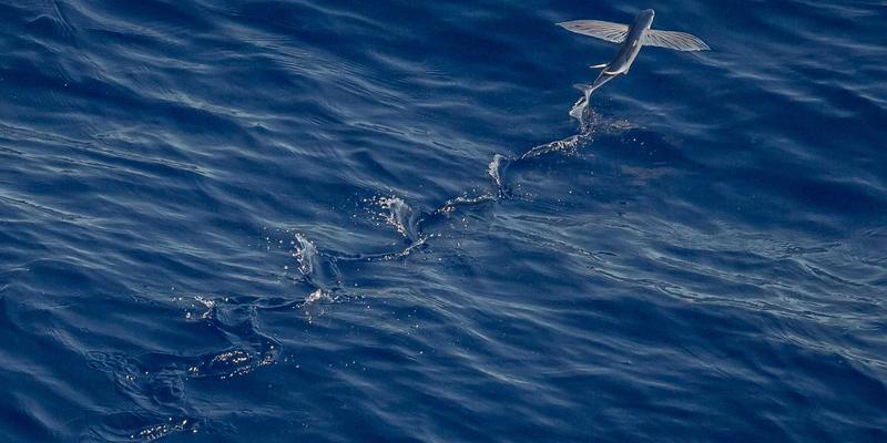 红唇的全球文化地图：从历史符号到现代美妆，探索不同国家与民族对红色唇妆的独特诠释与口红推荐