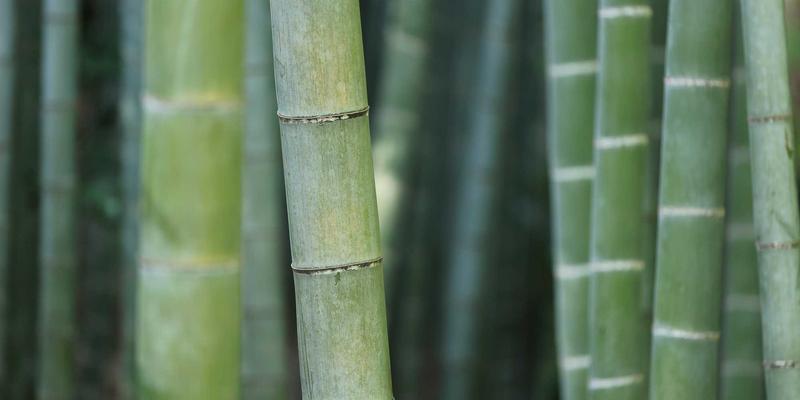 红唇的跨文化审美:东亚vs欧美红唇差异与口红推荐指南
