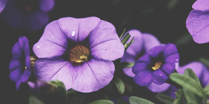 红唇经济崛起：解码口红市场消费趋势与经典红色系营销策略