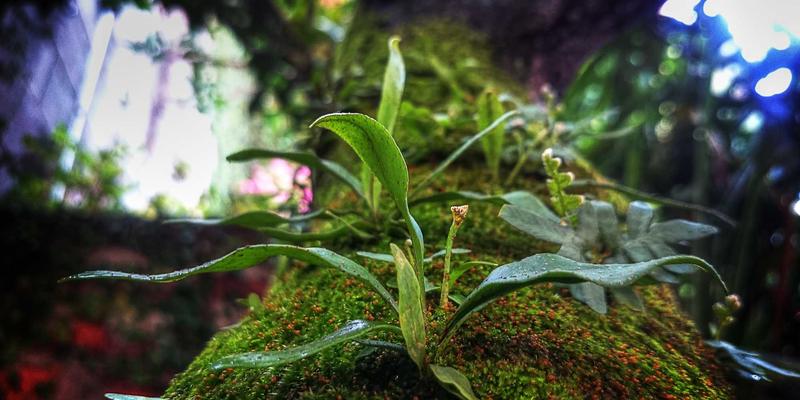 红唇艺术：从护肤打底到妆效定型的完整美学指南