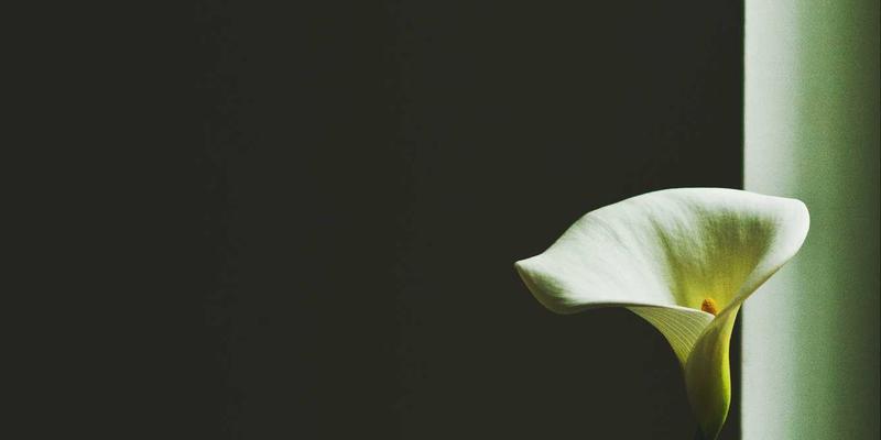 红唇艺术：从时尚摄影到戏剧舞台的妆容设计与表现力 | 附口红评测与护肤指南